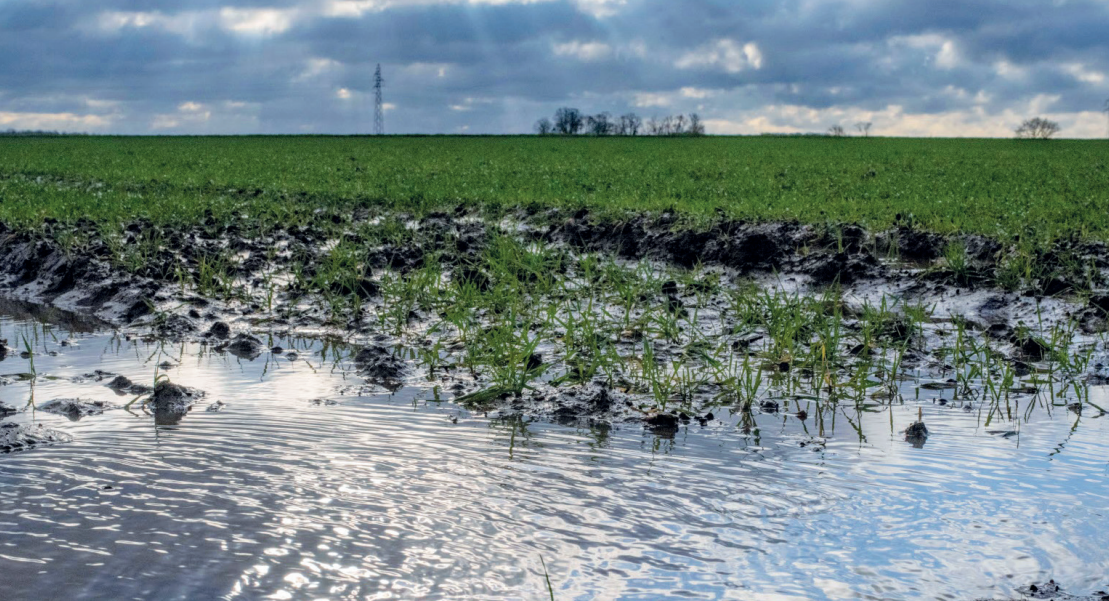 Campagne agricole : pour se rattraper, les exploitants tablent sur les cultures printanières